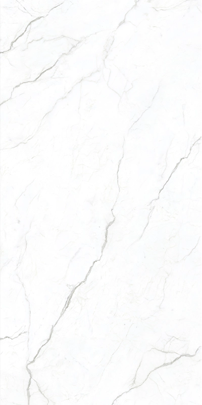MN099AP241209 sintered stone slab